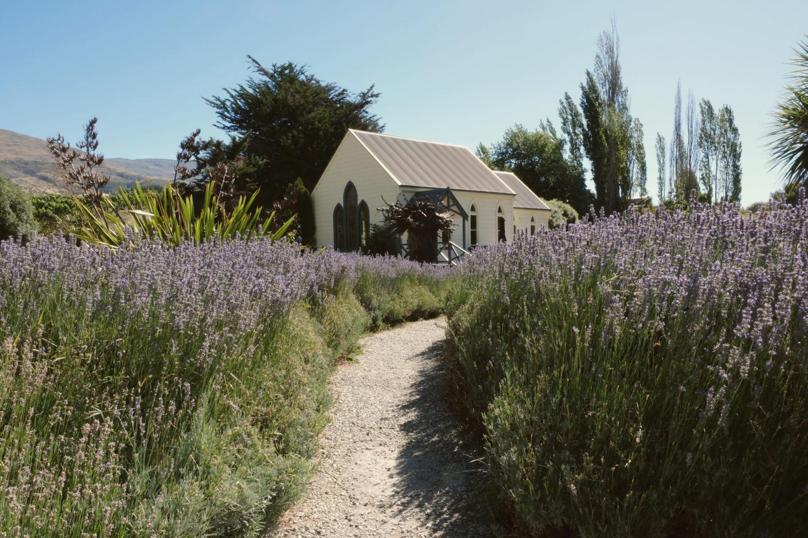 Lavender chapel wedding venue, Central Otago, South Island